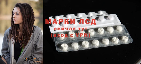 спиды Горняк