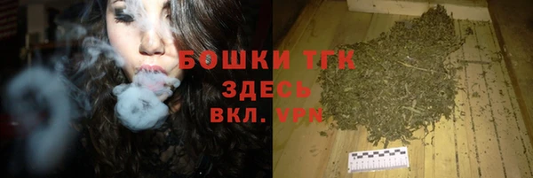 не бодяженный Горнозаводск