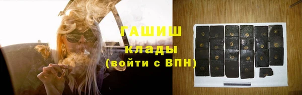 спиды Горняк