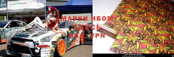 спиды Горняк