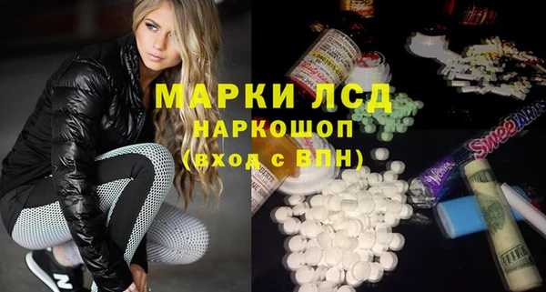 спиды Горняк