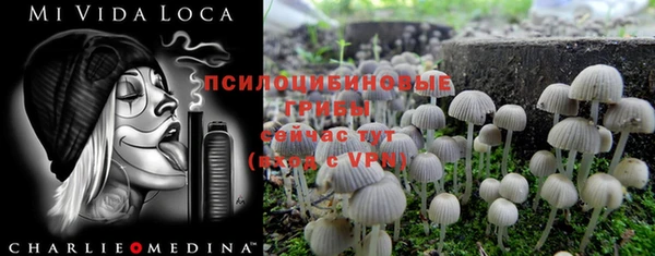 спиды Горняк