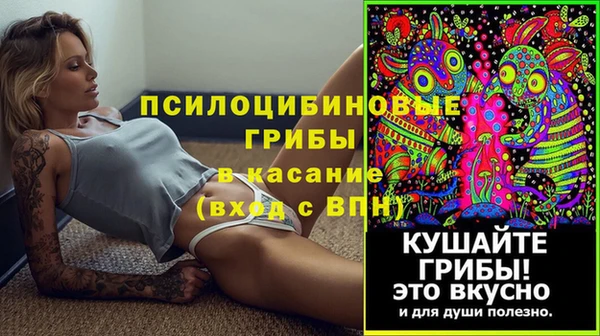 не бодяженный Горнозаводск