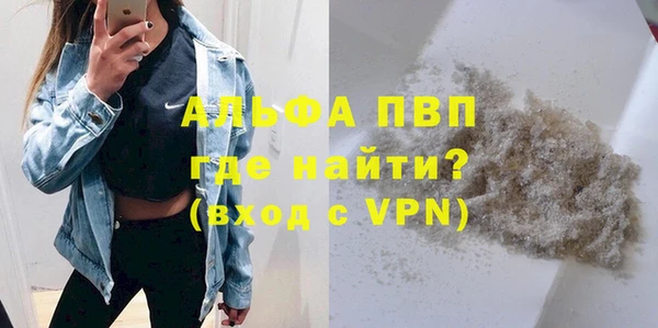 спиды Горняк