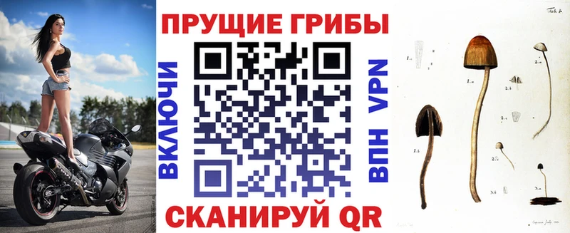 Псилоцибиновые грибы GOLDEN TEACHER  Дмитровск 
