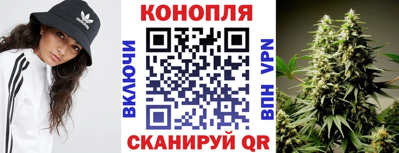 где купить   Дмитровск  МАРИХУАНА SATIVA & INDICA 